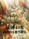 战锤40K:我真的不想当教皇