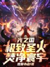 光之国:极致圣火,焚净寰宇